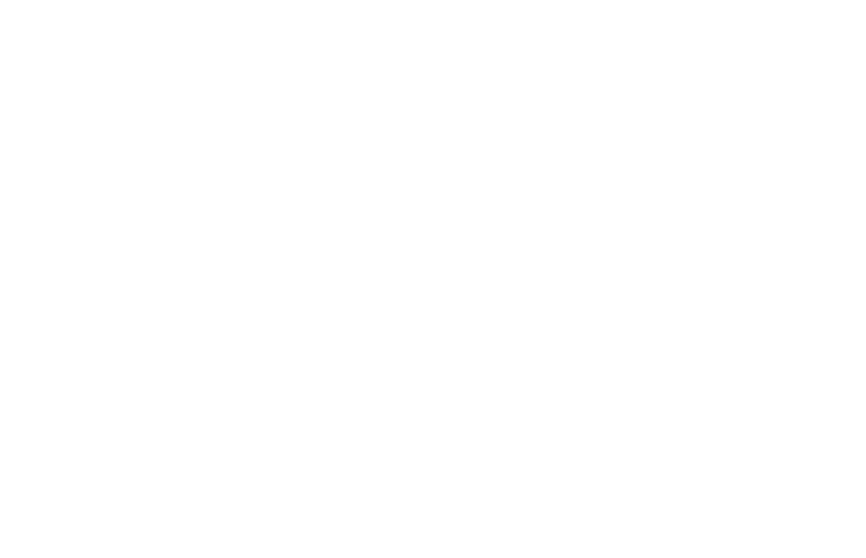 All American Group logo in white background